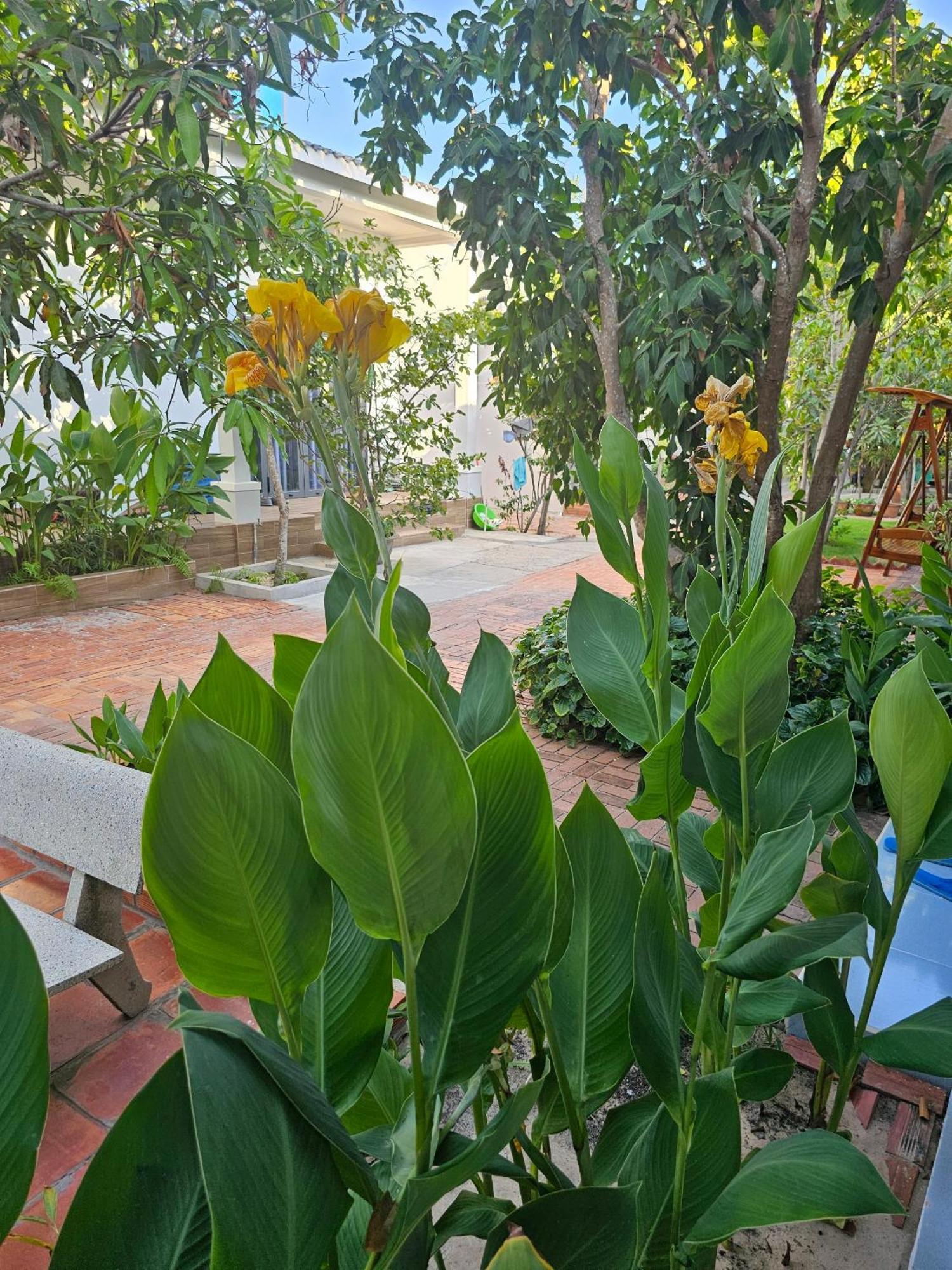 Cay Phuong Guesthouse 무이네 외부 사진